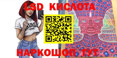 a pvp Ставрополь