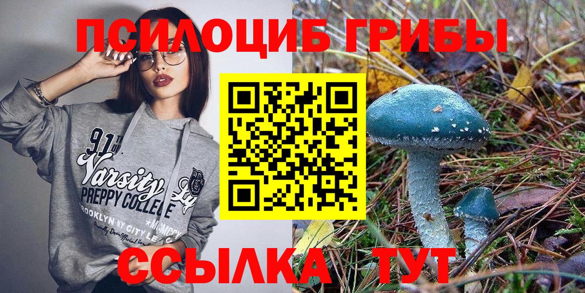 Галлюциногенные грибы Cubensis  Вход с VPN  Нововоронеж 